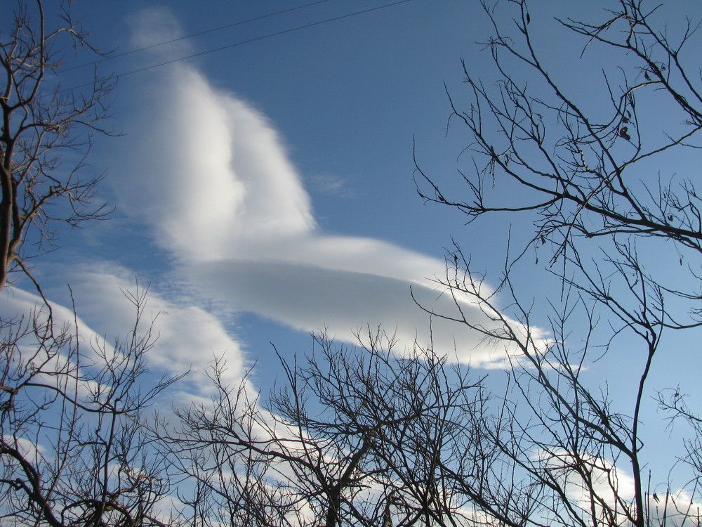 Photograph by Любовь Матвеева