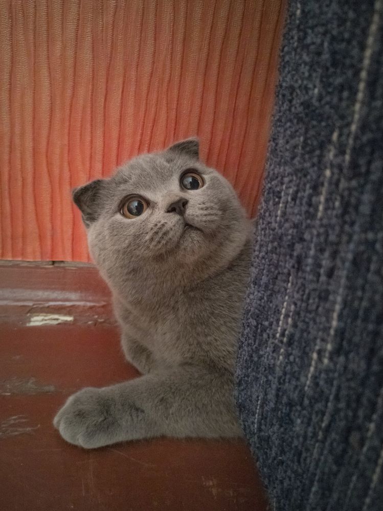 Photograph by Алексей Крукович