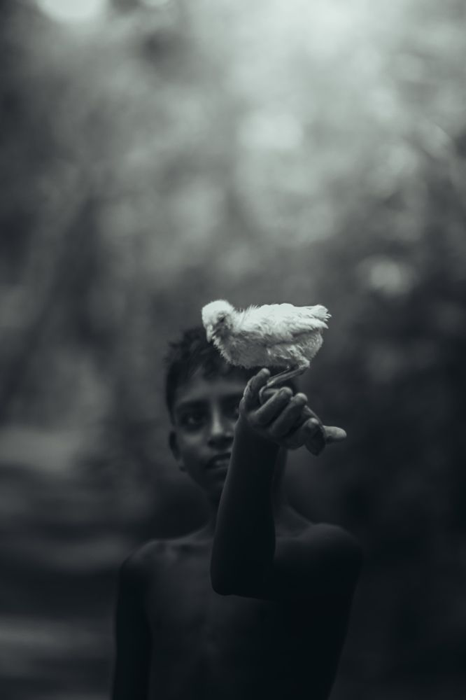 Photograph by Sumon Ghosh