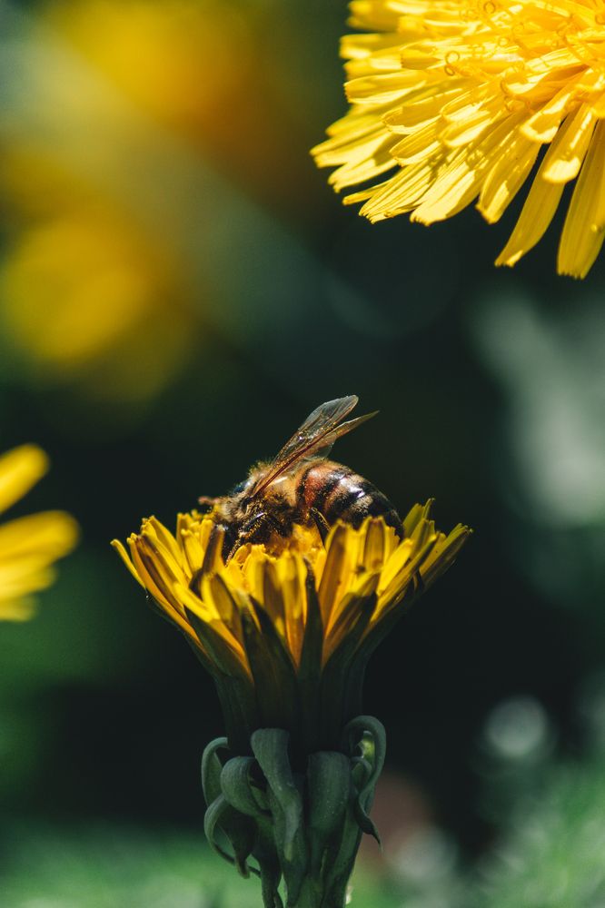 Photograph by Марина Кривенко