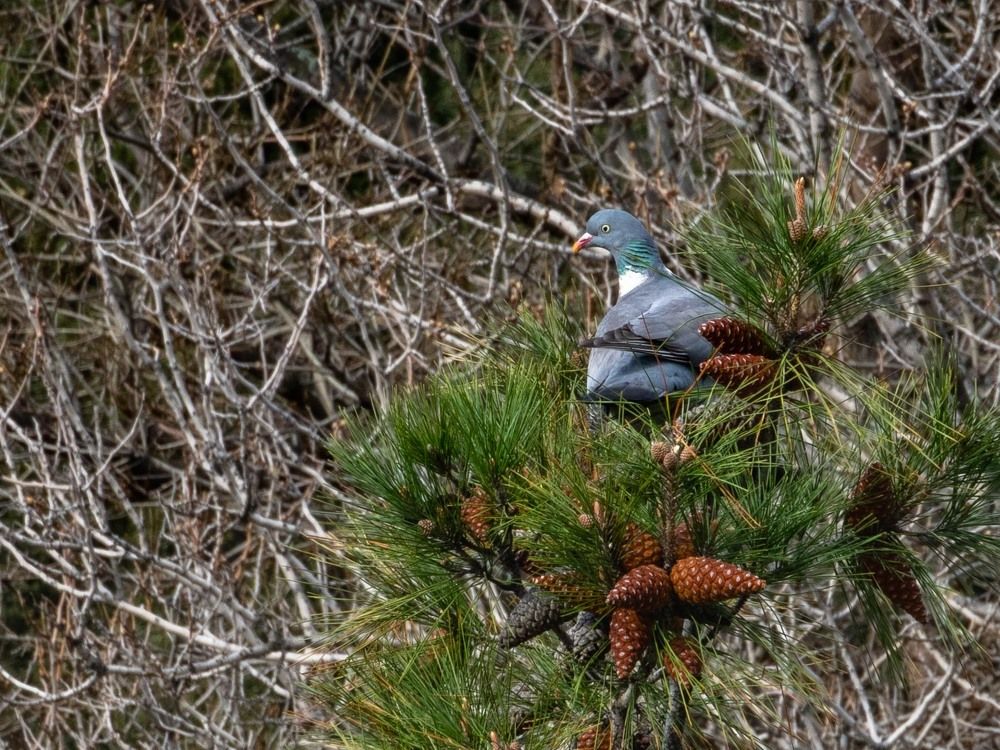 Photograph by mikhail goryachev
