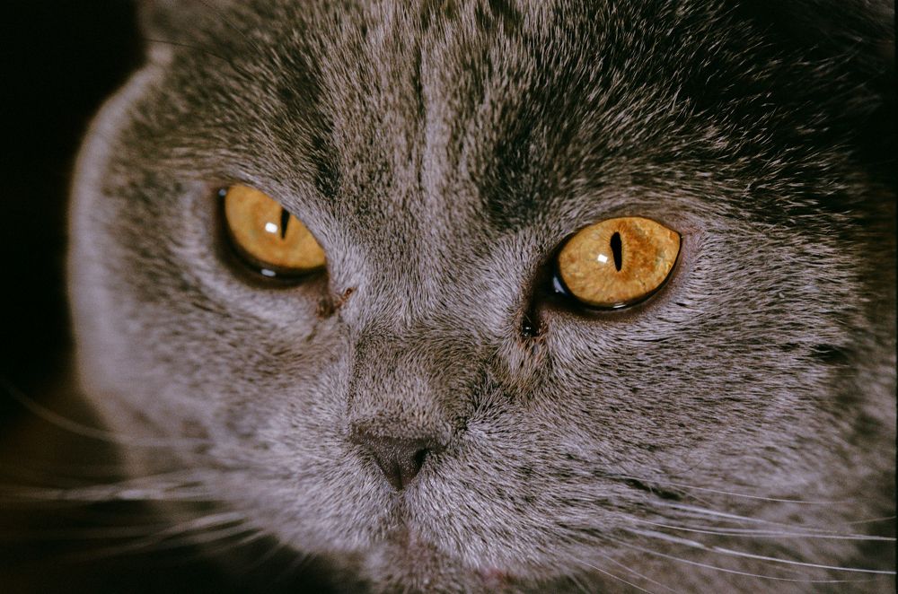 Photograph by Николай Лагоденко