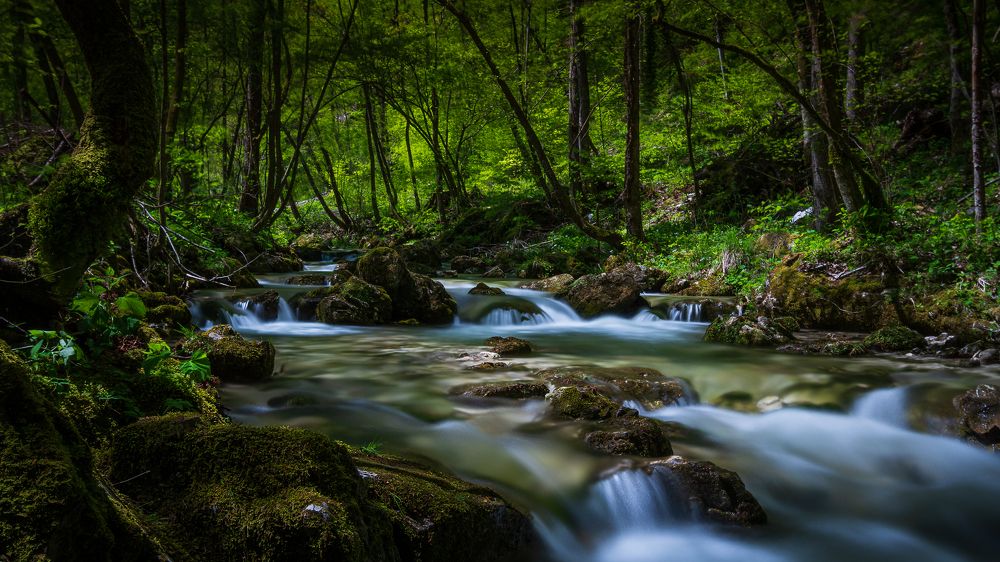 Photograph by Radenko Malić