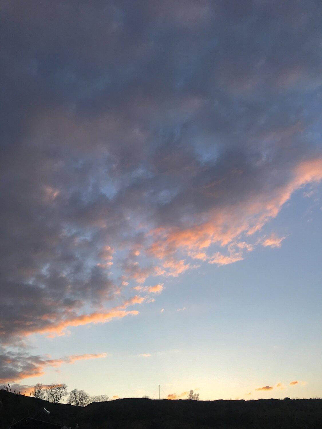 Photo #6081333