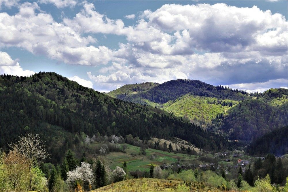 Photograph by Андрей Телибаев