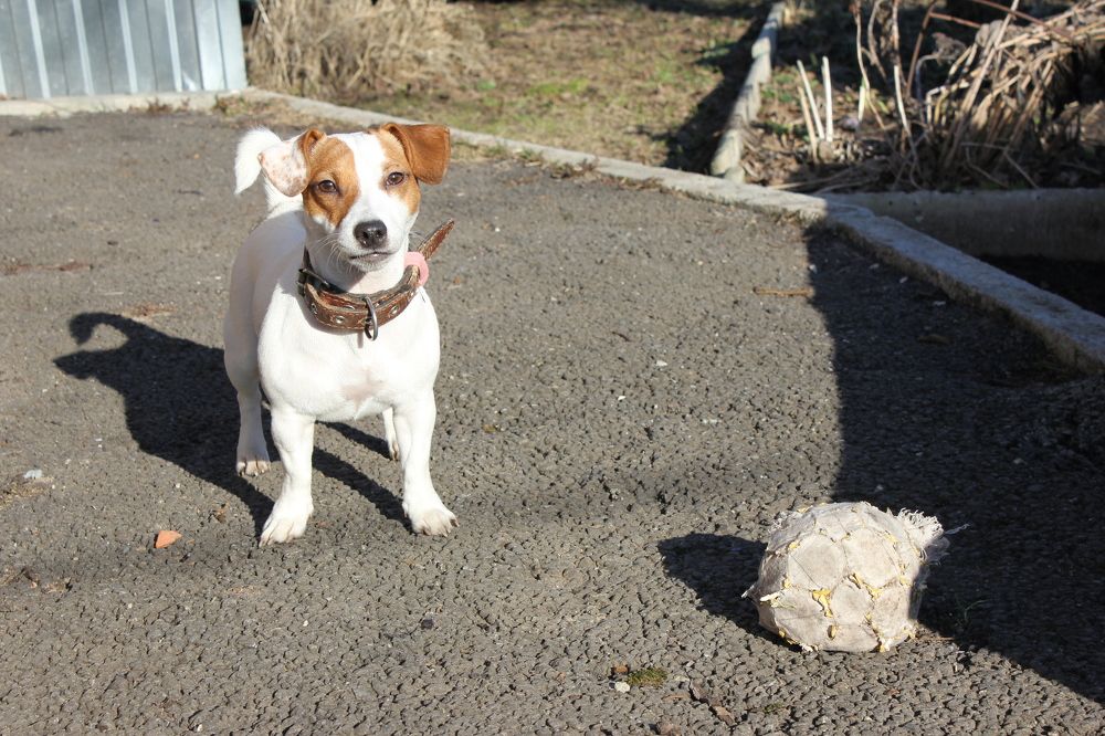 Photograph by Анастасия Козлова