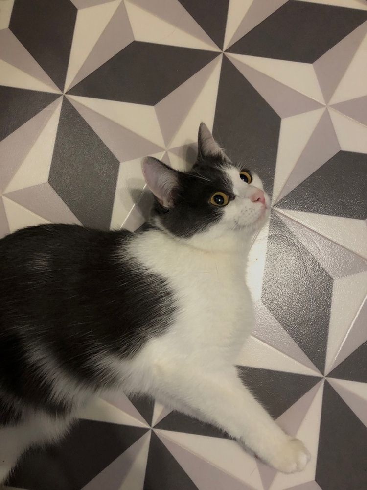 Photograph by Анастасия Козлова