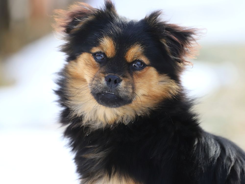 Photograph by Андрей Телибаев