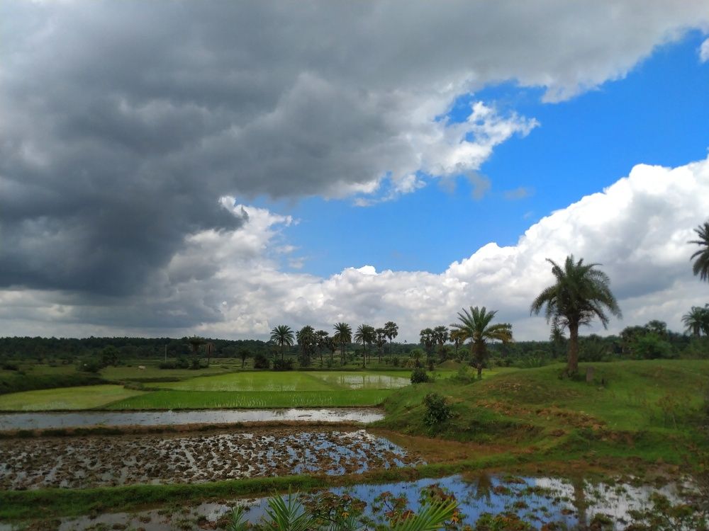 Фотография автора SK Shahbaj Ahmed