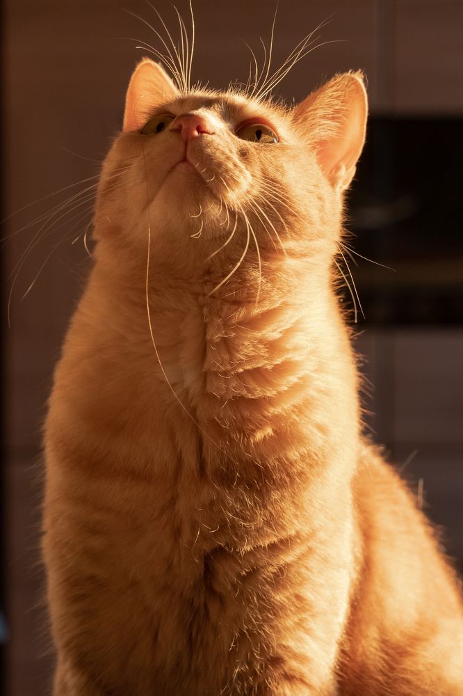 Фотография автора Alexander Pakhomov