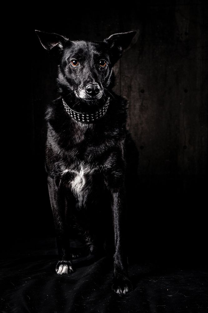 Фотография автора Linda Celis