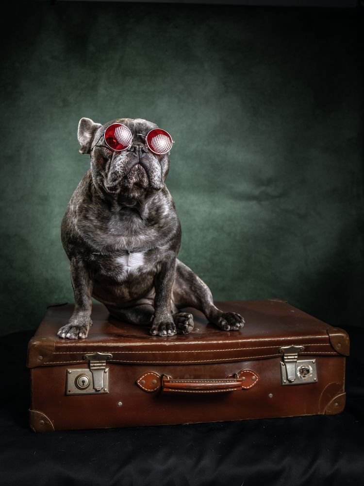 Фотография автора Linda Celis