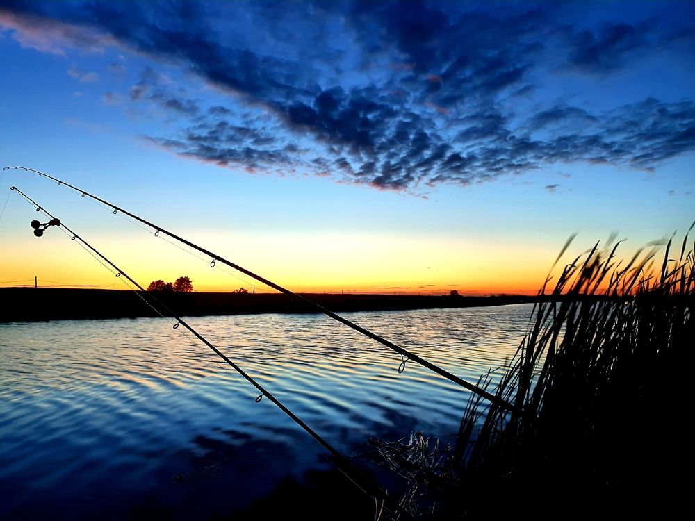 Фотография автора Angun Angusha