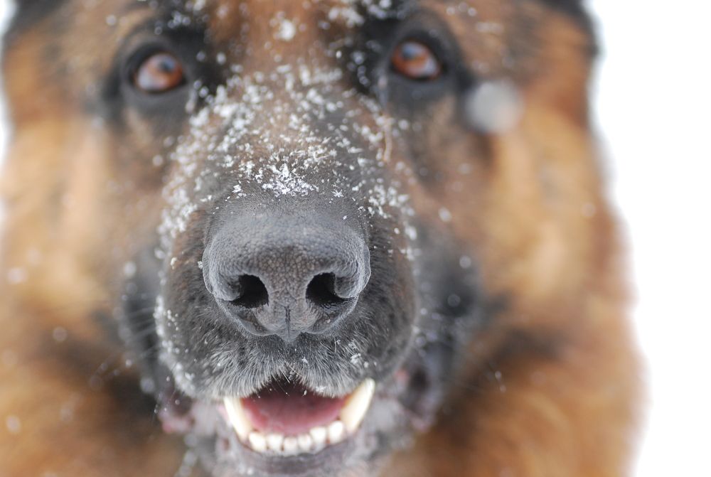 Photograph by Оксана Трофименко