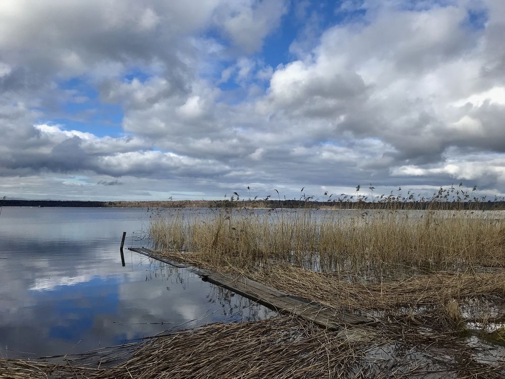 Photograph by Галина Сероштан