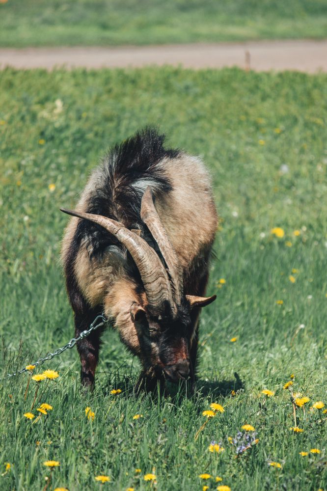 Photograph by Марина Кривенко