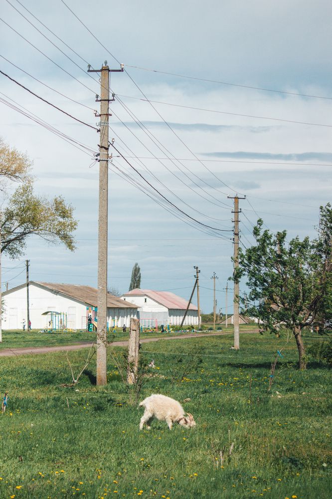 Photograph by Марина Кривенко