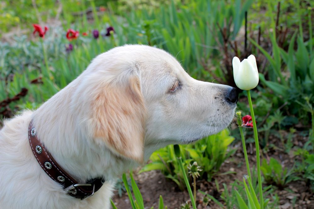 Photograph by Юлия Трап
