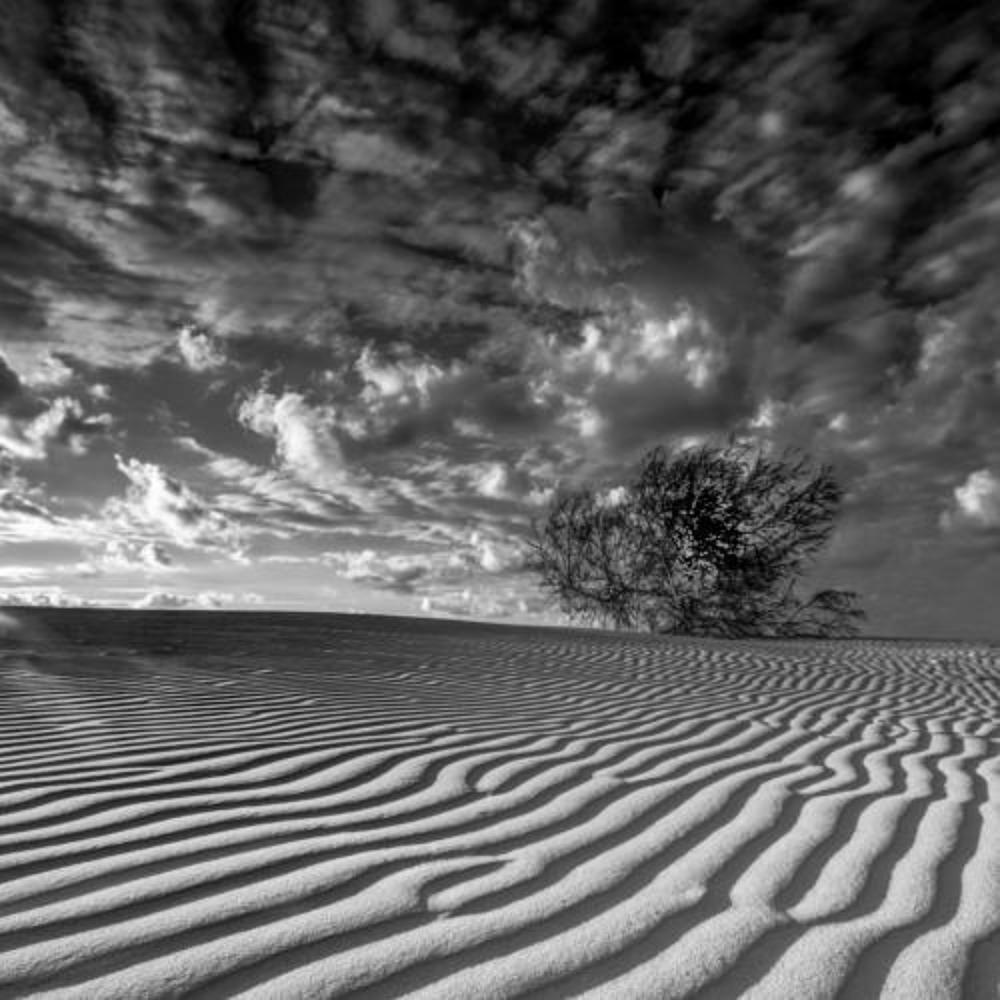 Photograph by Leonid Lan