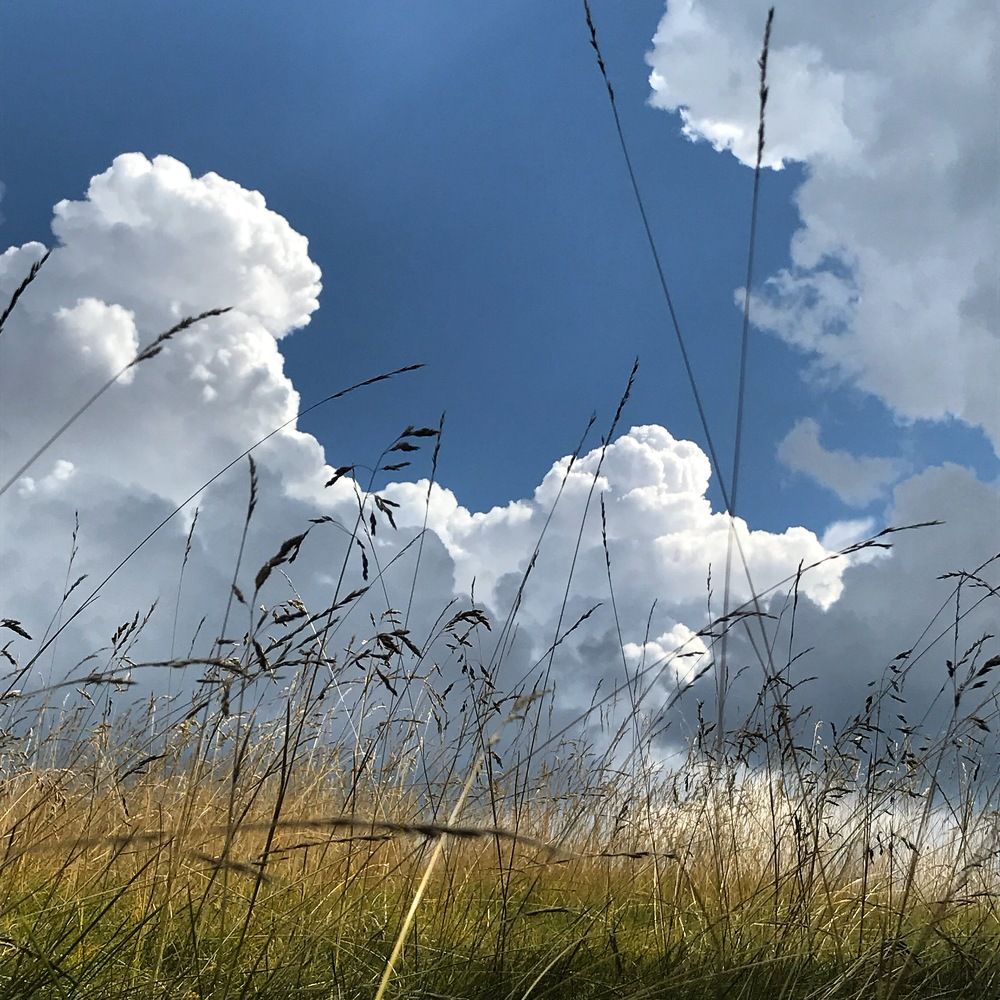 Photograph by Галина Сероштан