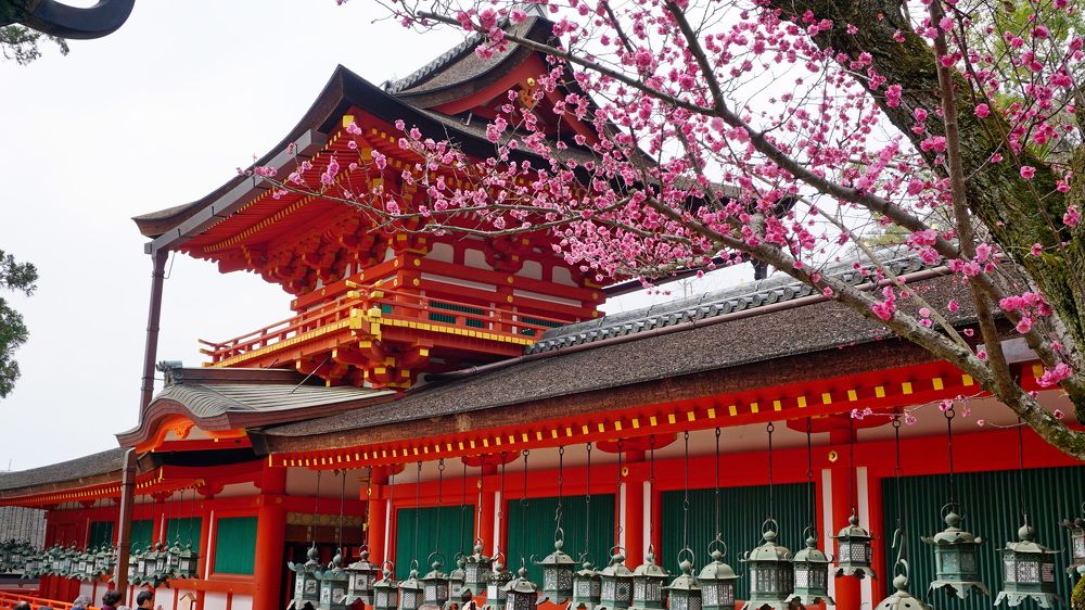 Photograph by Оксана Трофименко