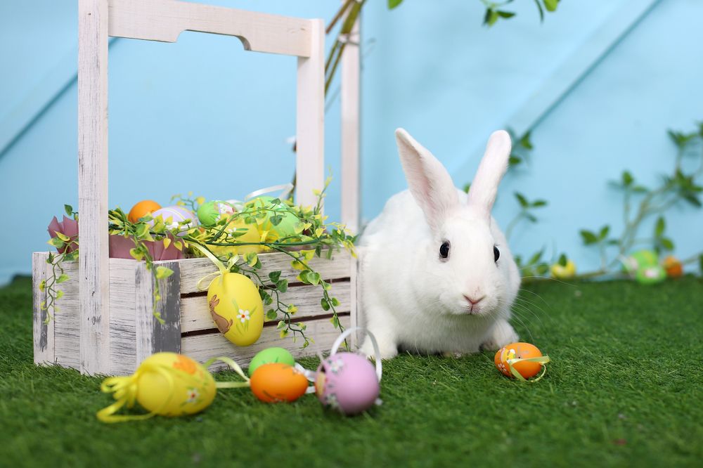 Photograph by Юлия Трап