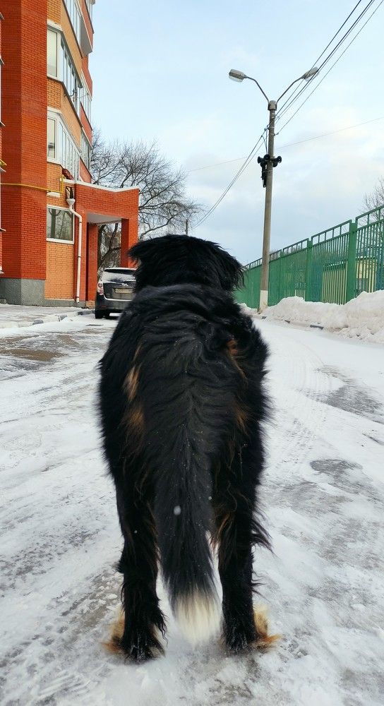 Photograph by Анастасия Орлова