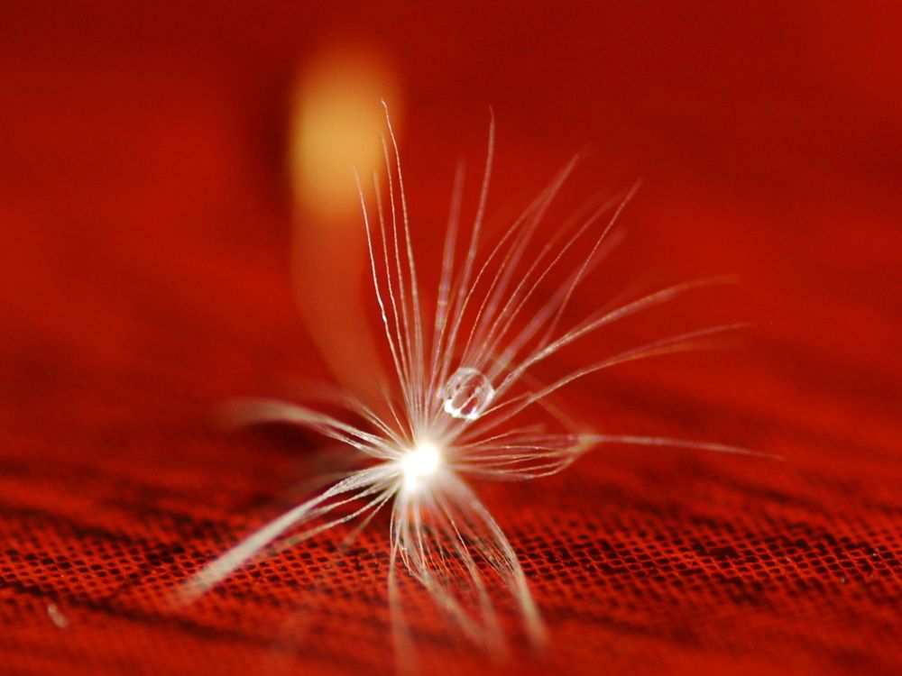 Photograph by Оксана Трофименко