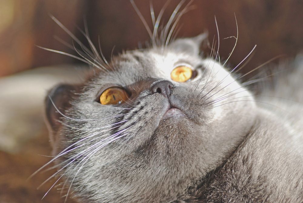 Photograph by Оксана Трофименко