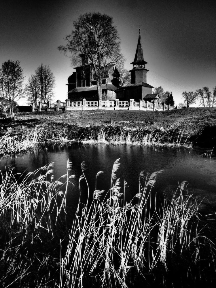 Photograph by Дмитрий Потапов