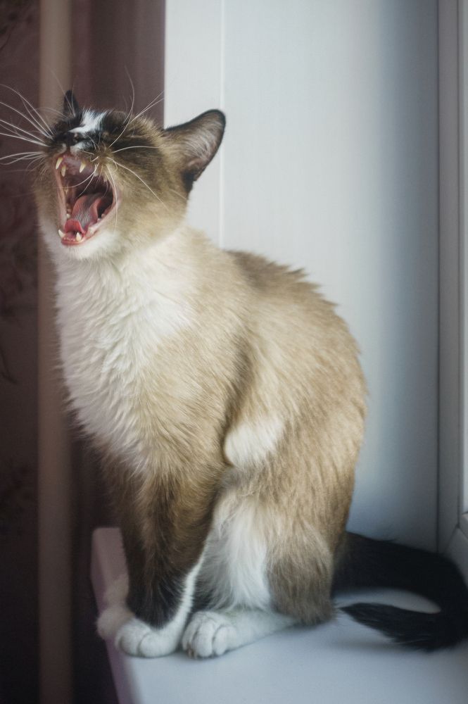 Photograph by Кирилл Богомазов