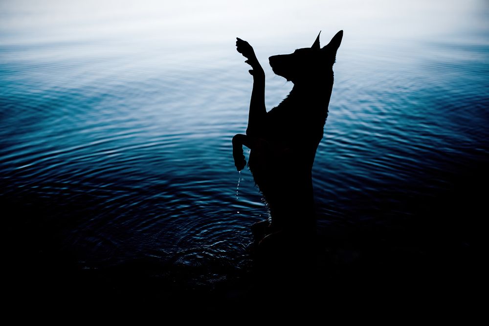 Photograph by Марина Плевако