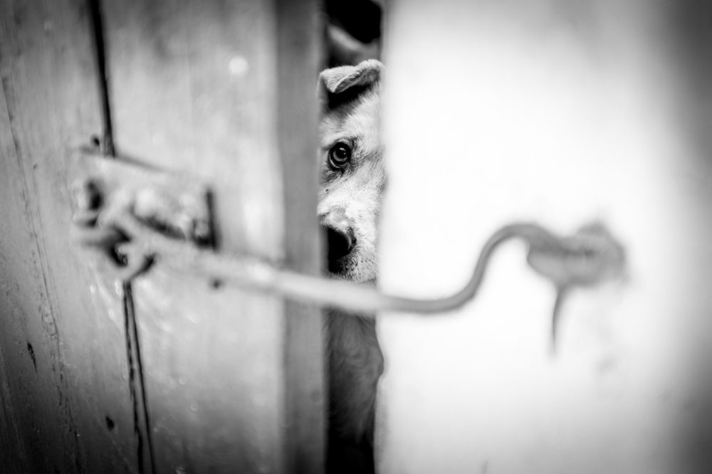 Photograph by Sergey Trush