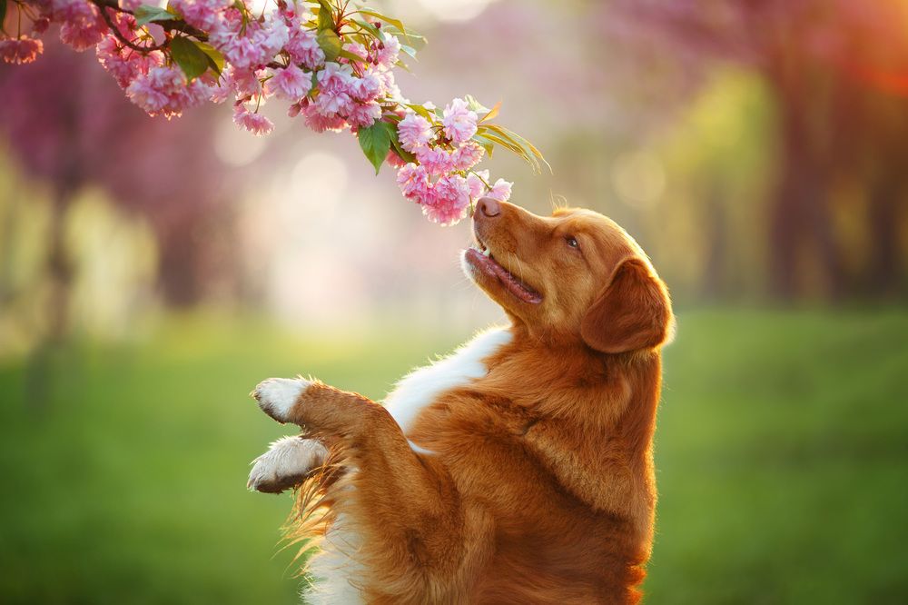 Photograph by Марина Плевако