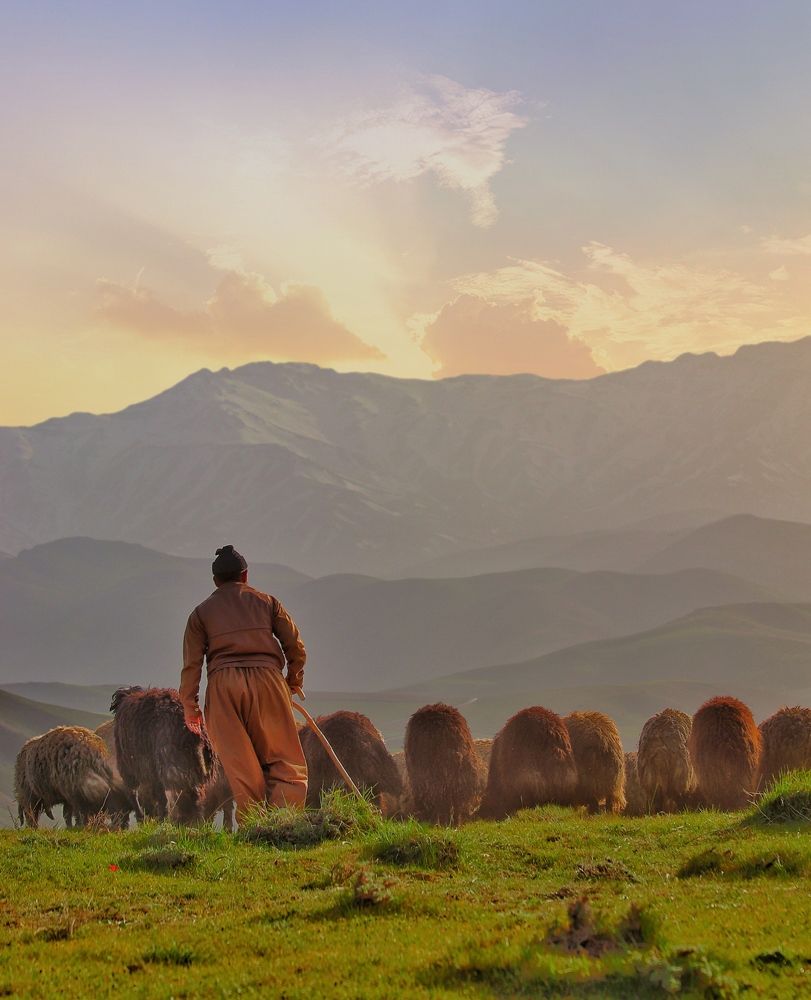 Photograph by Keyvan Hosine pour