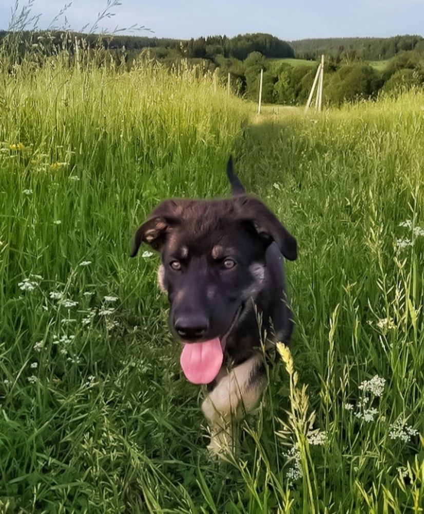 Photograph by Алексей Копылов