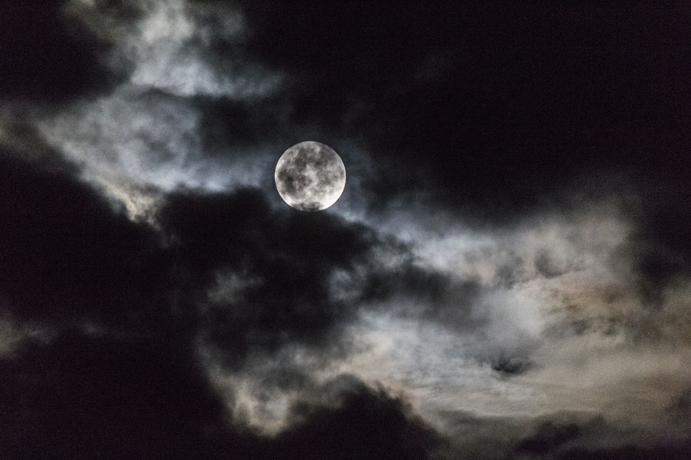 Photograph by samuel celegatti