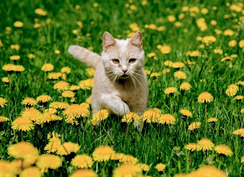 Photograph by Михаил Кравченко