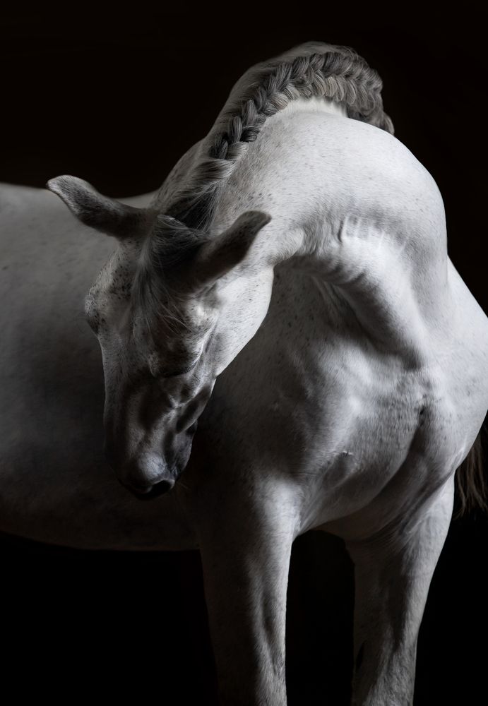 Photograph by Татьяна Немова