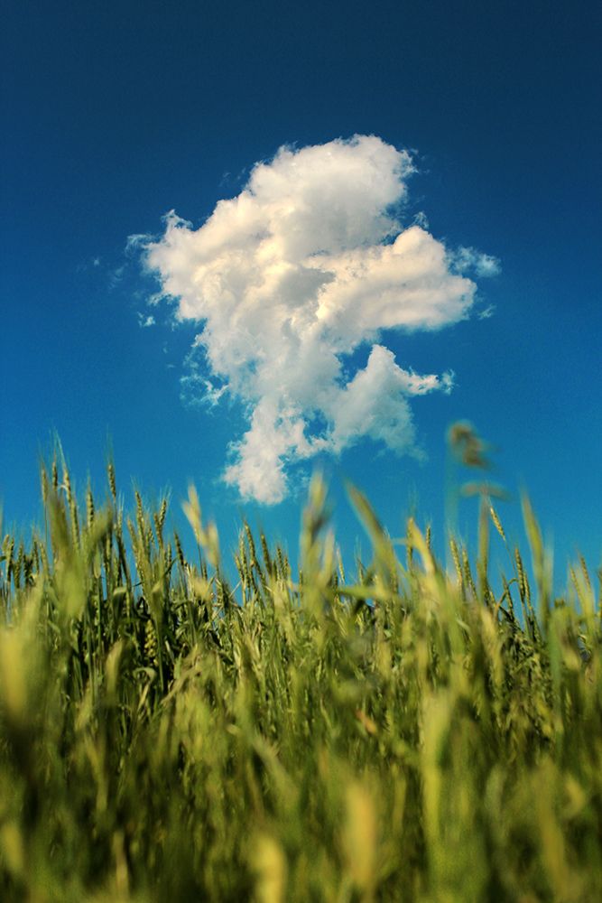 white cloud