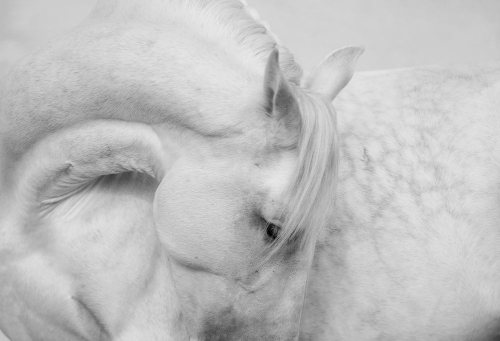 Photograph by Татьяна Немова