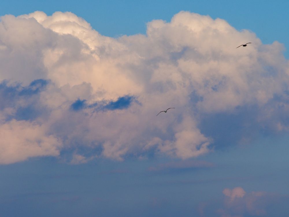 Photograph by Alexander Chernikov