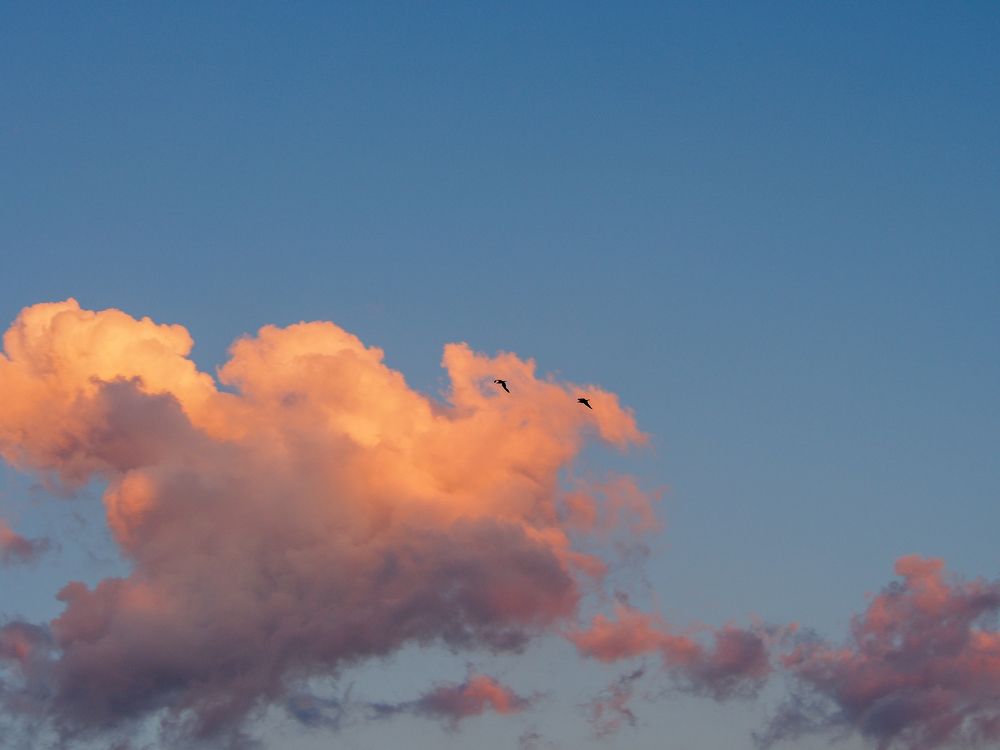 Photograph by Alexander Chernikov