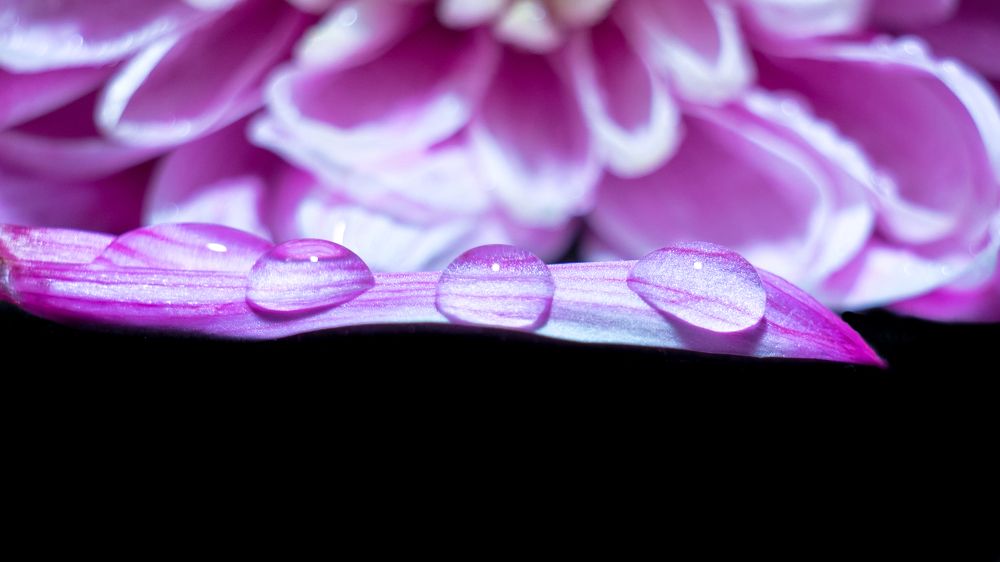 Photograph by Михаил Кондрацкий