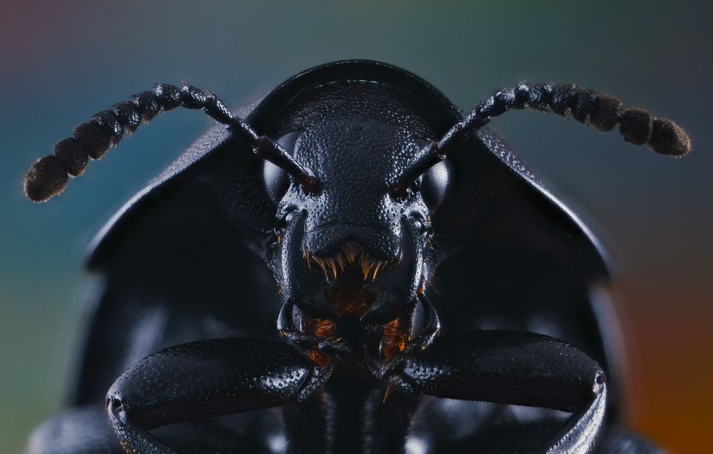 Photograph by Юрьевич Юрий