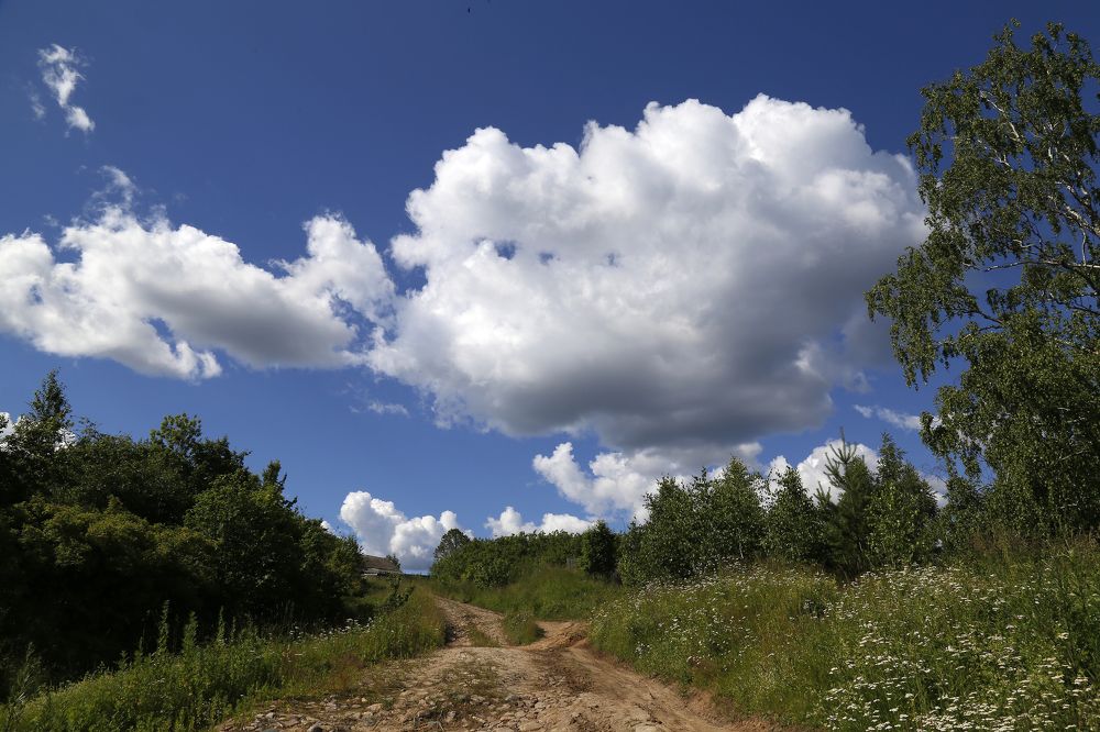 Photograph by Евгений Соколов