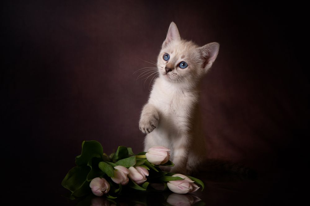 Photograph by Светлана Федоренко