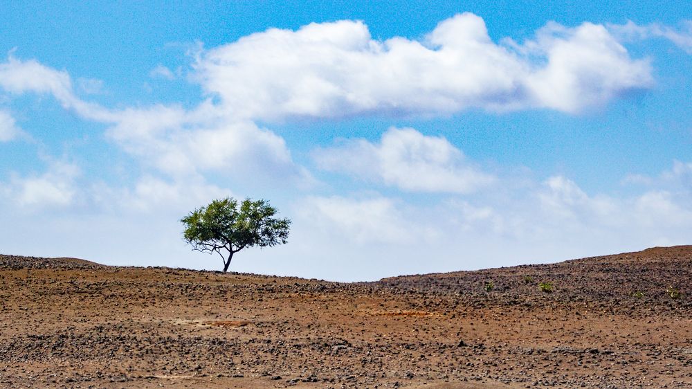Alone under the clouds