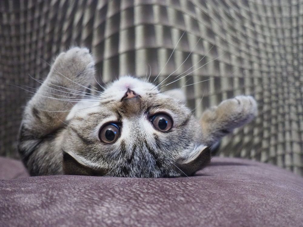 Photograph by Elena Khalizova