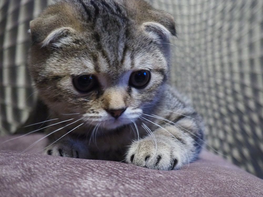 Photograph by Elena Khalizova